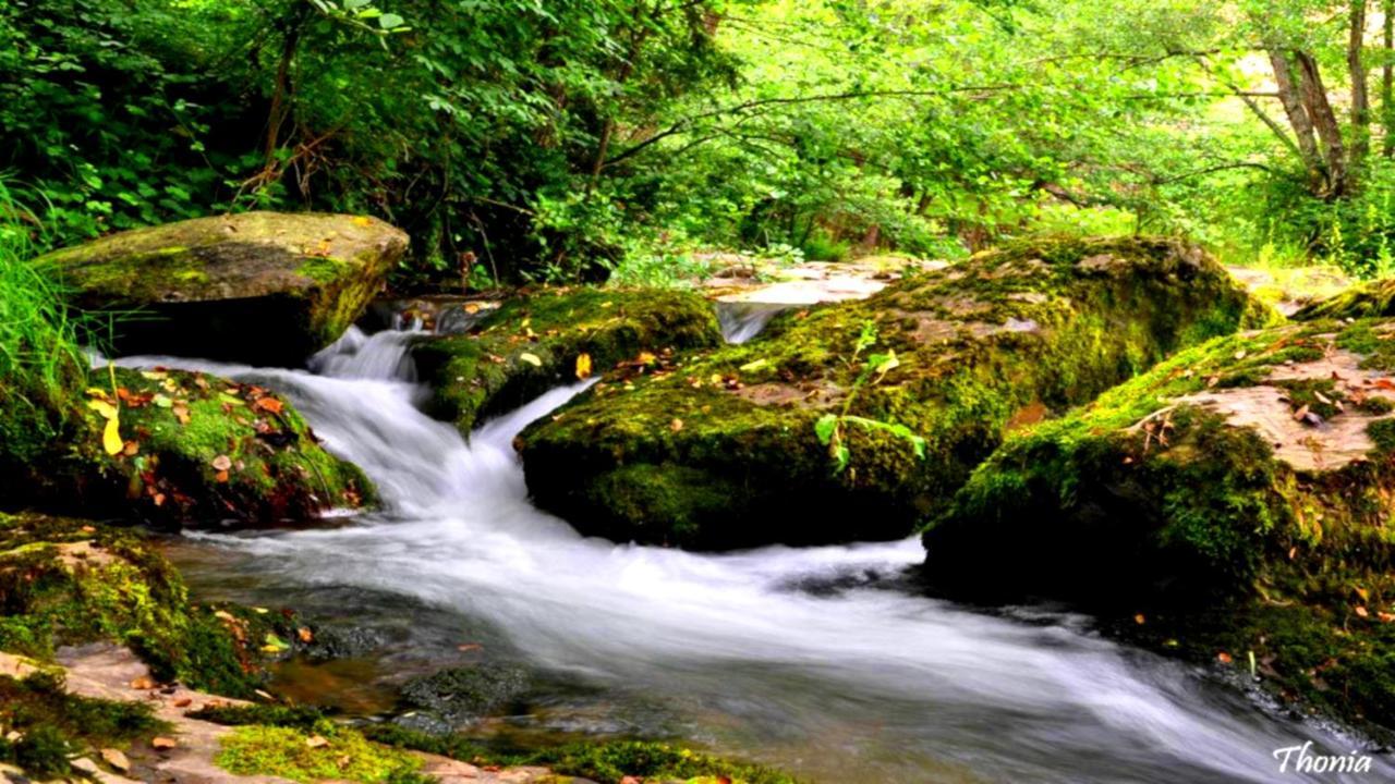 Can Guasch Camprodon Dış mekan fotoğraf